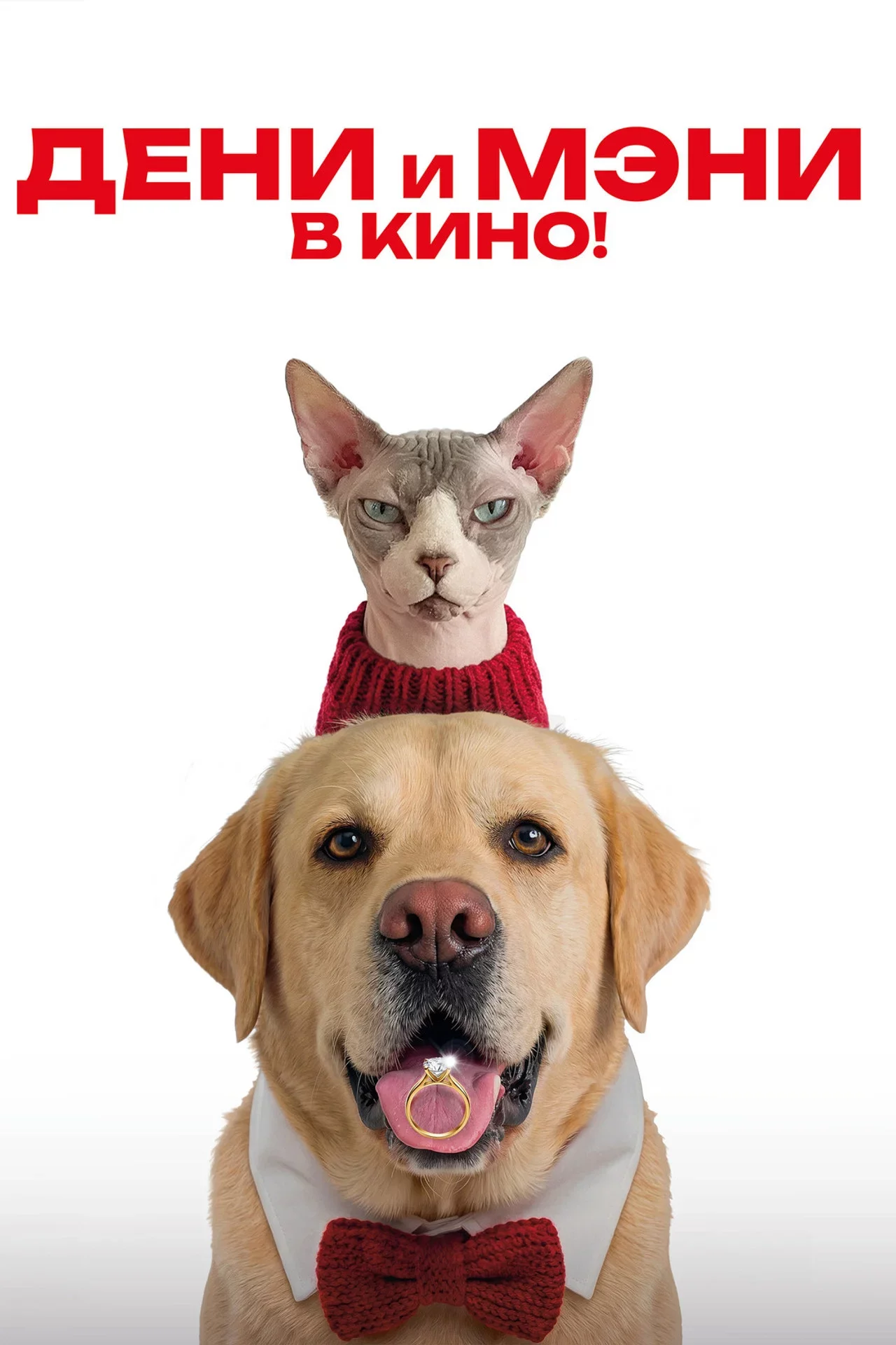 Дени и Мэни в кино!
